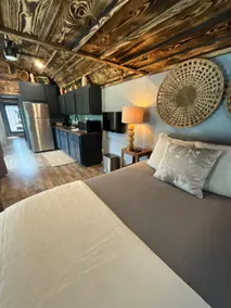 Suzy Blue — Cozy Queen Cottage Near MSU - Image 5