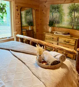 Mountain Cabin & Creek-Front Nature Retreat NC - Image 3