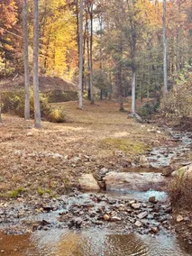 Mountain Cabin & Creek-Front Nature Retreat NC - Image 4