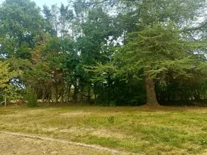 Cozy T1 7 min from the airport, close to Nantes - Image 5