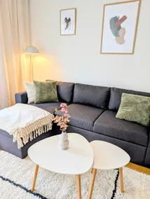 Nice and cozy city apartment, free parking - Image 3