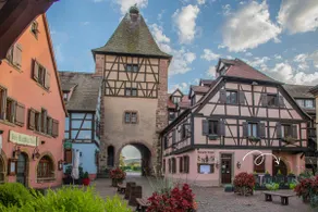 Le Nid du Veilleur by GC -10min de Colmar- Wifi - Image 5