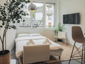 Zentrales Apartment | ÖV Ticket | Parking | Ruhig - Image 3