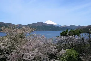 [Hakone] 15-minute drive to Owakudani | Private house surrounded by quiet nature | Accommodates up to 12 people | With outdoor terrace - Image 4