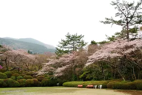 [Hakone] 15-minute drive to Owakudani | Private house surrounded by quiet nature | Accommodates up to 12 people | With outdoor terrace - Image 5
