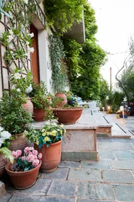 North Athens Serenity - Image 5