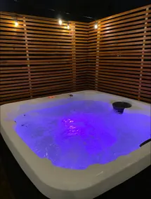 Ft. Myers House- FGCU, HotTub, Beaches, Pets OK - Image 3