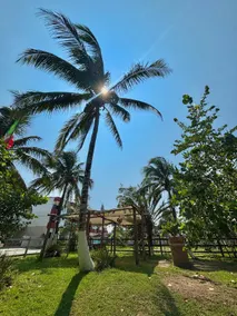 Zona Beach 3 - Image 4
