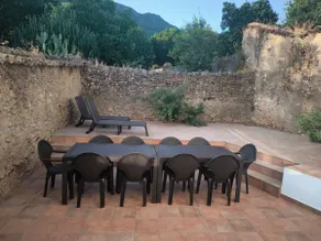 The Lemon Tree of Alajar - Image 2