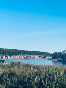 Dog-friendly family paradise in Norrfällsviken - Image 2