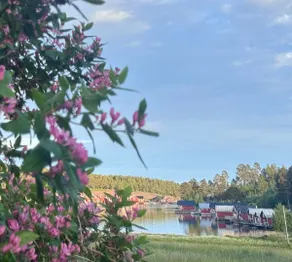 Dog-friendly family paradise in Norrfällsviken - Image 5