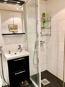 Allergy-Friendly Apartment - Image 4