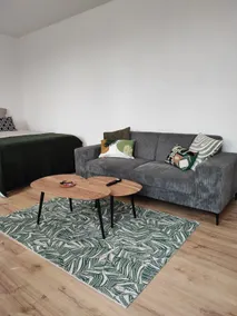 CMG Studio XL 102 Petit Bois Place Ducale - Image 3