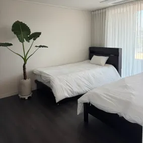 Open Special Offer [All Year Round] 133m2 New Private House in Gyo-dong/Walking Distance to Jungangno Station & Daegu Station/Group Accommodation - Image 2