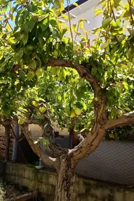 Valentina's home - Image 5