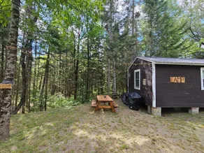 Northern Maine Woods Escape - Image 4