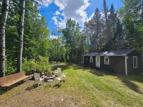 Northern Maine Woods Escape - Image 2