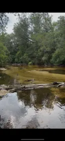 Cabin on the River with 6 acres of woods. - Image 5