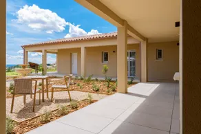 Domus Olivea - Studio in the heart of the wine estate - Image 4