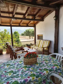 VILLA DELLE PALME, Terrace Suite - Image 3