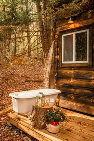 Modern Rustic Cabin with Sauna near Lake and Hike - Image 5