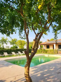 Amaneceres Rural House - Image 4