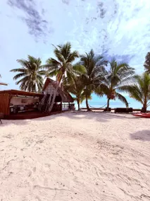 GAIA BEACH AND LAGOON - At Tiahura place - Image 3
