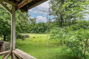 Misty Meadows — 8 acre farm stay near Bloomington - Image 5