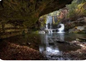 Beau’s Adventure Getaway - Image 3