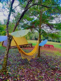 Yellow cabin - Image 2