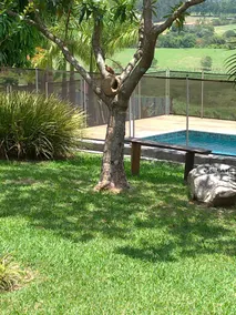 Beautiful Farm in Caçapava Velha - Image 3