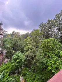 The forest house | 2bhk Rajpur & Mussoorie road - Image 5