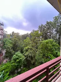 The forest house | 2bhk Rajpur & Mussoorie road - Image 4