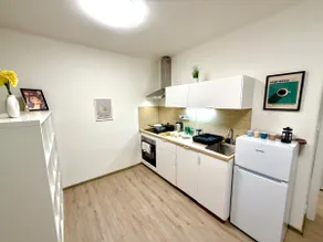Loft on the Vltava | For 7 | Quickly in the center - Image 3