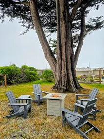 Ocean view-Huge backyard-Quiet neighborhood - Image 4