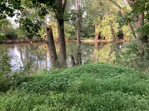 Donna's River Front Cabin - Image 2