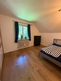 Alpine view and lake (pet friendly) - Image 3