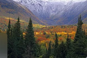 Heavenly Heights White Mountains - Image 5