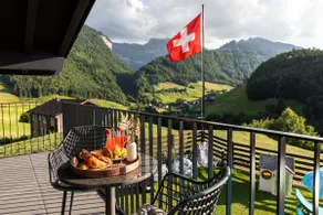 Villa Tauris - Lake Lucerne - Spa & Natural Pool - Image 3