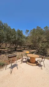 Gadi's cabin - Image 5