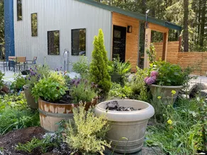 Grounded Serene Cabin Retreat - Image 3