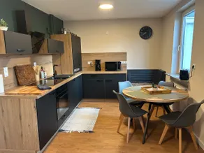 Modern city apartment with parking near the university - Image 2