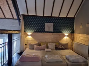 House Noga, special ambience - Image 4