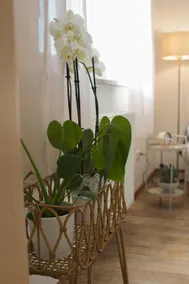 Small charming apartment - Image 3
