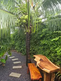 Tropical Hideaway Close to the Beach - Image 3