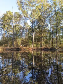 43-Acre Cabin Near Pinehurst | Trails & Wildlife - Image 4