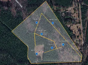 43-Acre Cabin Near Pinehurst | Trails & Wildlife - Image 3