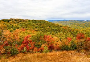 Acorn Ridge: Scenic mountain retreat with hot - Image 3