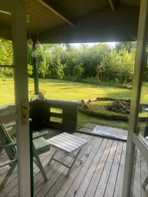 Back to nature - Image 5