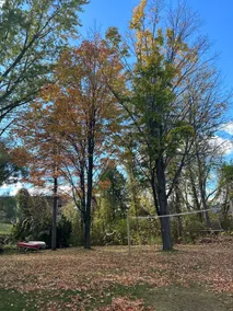 Riverfront Views/Autumn Leaves: Escape to Grayling - Image 3